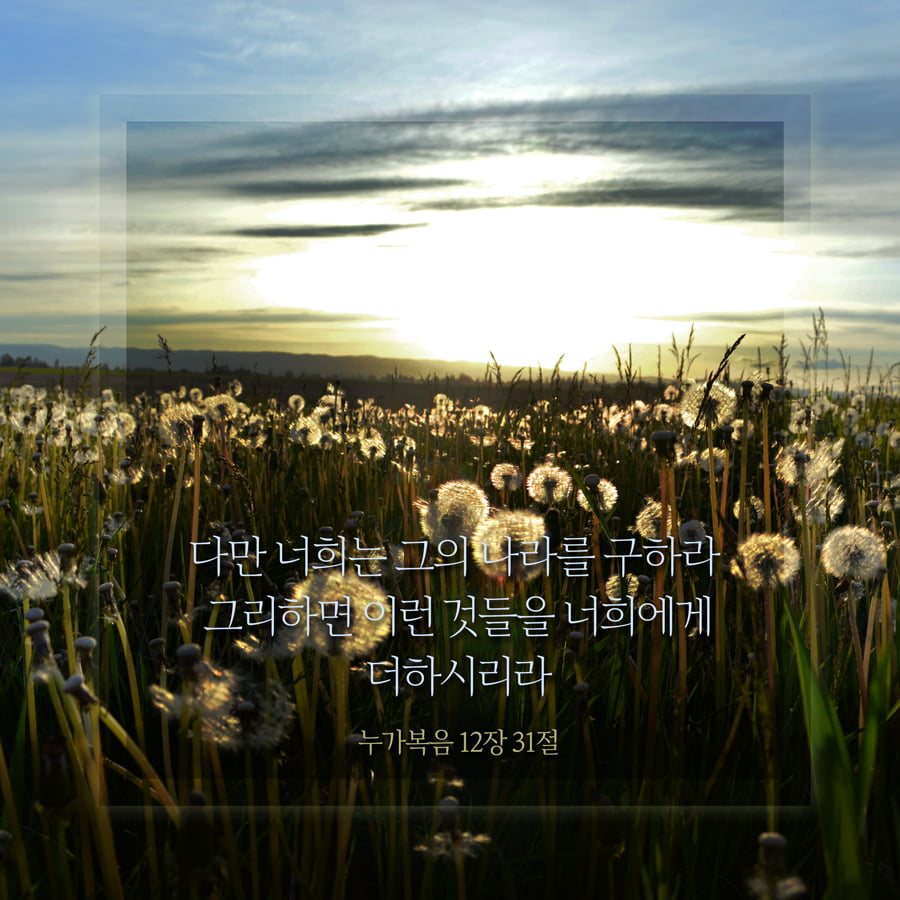 Day 300 - 아크스토리